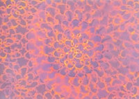 a painting with orange and purple swirls on it