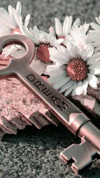 a key with daisies on top of it