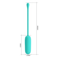 the measurements of a blue toilet brush