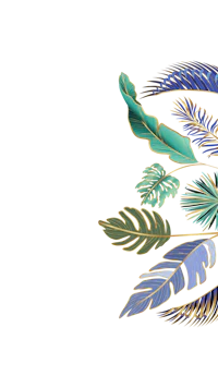 tropical leaves on a black background