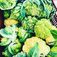a bunch of green and yellow cauliflower in a basket