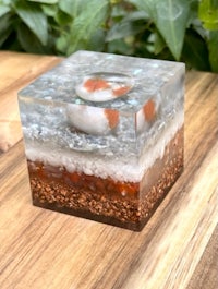 a glass block with a koi fish in it