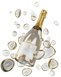 a bottle of champagne with bubbles floating around it