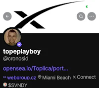 a screenshot of the topplayboy app on a phone