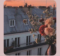 a woman is holding a bouquet of flowers on a balcony in paris
