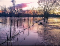 a flooded field with trees and a fence