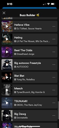 a screenshot of a music player on an iphone