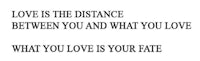 love is the distance between you and what you love what you love is your fate