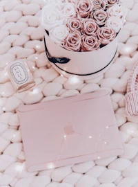 pink roses and a laptop on a blanket