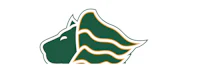 a green and gold logo with a wave in the middle
