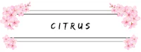 a white frame with pink flowers and the word citrus