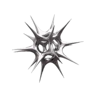 a silver starburst on a black background