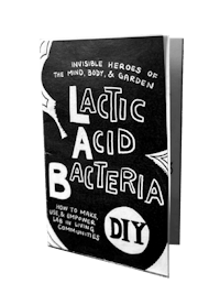 a book with the title latic acid bacteria diy