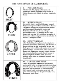 the four stages of hair pulling