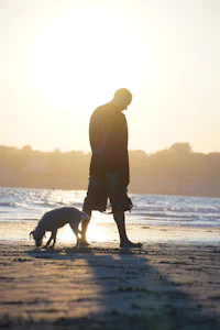 a man walking his dog on the beach at sunset