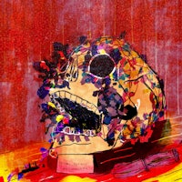 a drawing of a skull on a red background