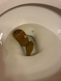 a toilet with a piece of bread in it