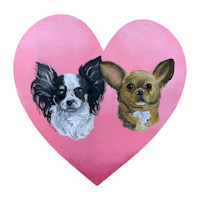 two chihuahua dogs in a pink heart