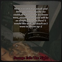 a dog laying on a bed