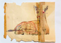 a drawing of a deer on a piece of paper