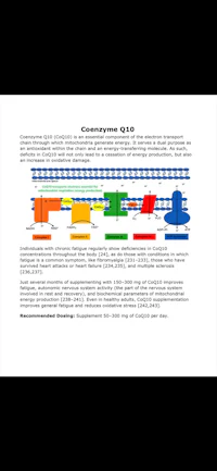 an image of a diagram of a virus