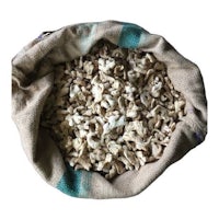 white mushrooms in a sack on a white background