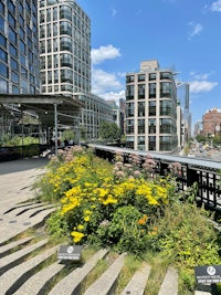 the high line in manhattan