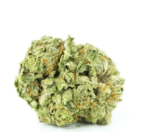 a green marijuana flower on a white background