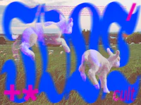 two sheep in a field with a blue and purple background