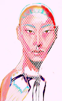 an image of a woman with a netted head