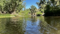 a river surrounded by trees and grass