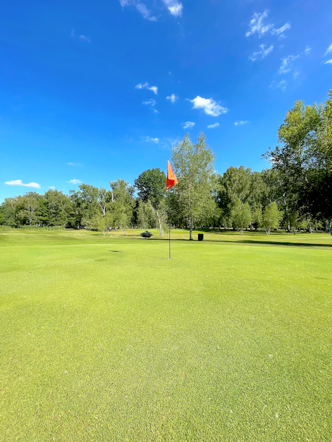 Golf green and flag