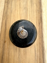 a black ammonite on a wooden table