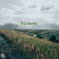 an image of a road with the word forever on it