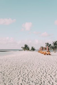 a beach with chairs and umbrellas on the sand