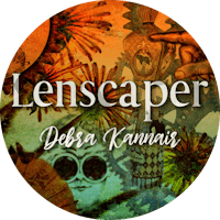 the logo for lenscaper debra kananis