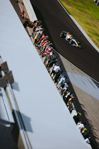 a crowd of people watching a race car