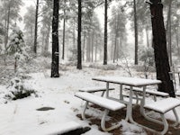 a picnic table covered in snow in a wooded area