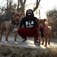 a man is posing with two dogs in front of a tree