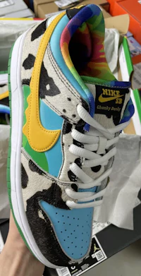 nike sb swoosh sb dunk low