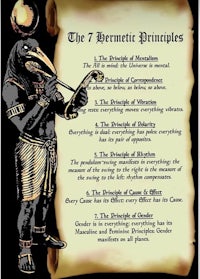 the 7 bernatic principles