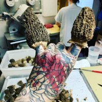 a person with tattoos holding a bunch of mushrooms