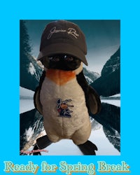 a stuffed penguin wearing a hat ready for spring break