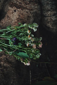 a bunch of flowers sitting on the ground