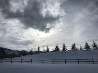 the sun is shining over a snowy field and trees