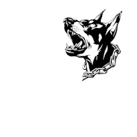 a black and white image of a doberman dog