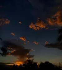 a sunset with clouds and palm trees in the background