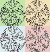 a set of four leaf designs in different colors