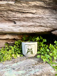 a small cup sitting on top of a piece of wood