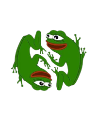 two green frogs on a black background